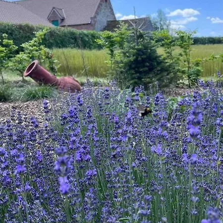 Holiday home Chienmarin Healthfarm & Residences Anno 1712 ***** *